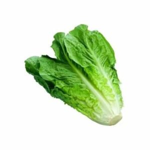 Lechuga Costina Unidad