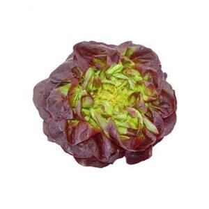 Lechuga Francesa Unidad
