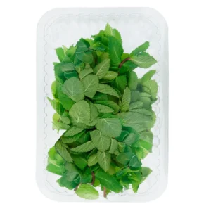Menta Fresca Bandeja