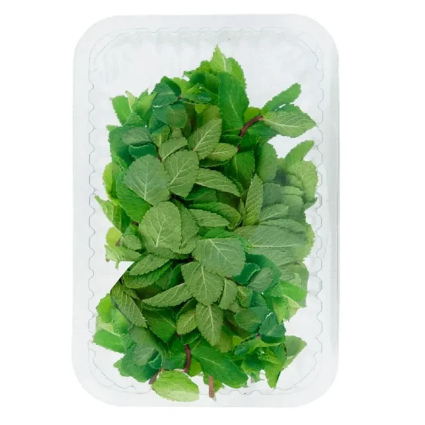 Menta Fresca Bandeja