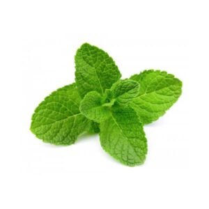 Menta Fresca 1/4 Kilo