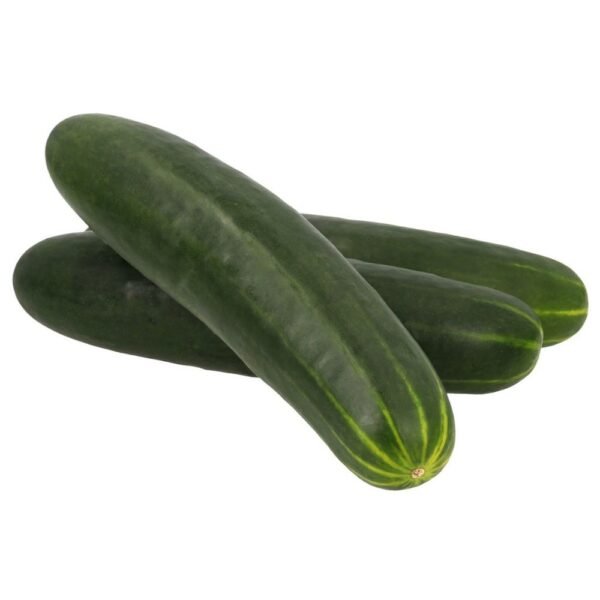 Pepino Ensalada Unidad