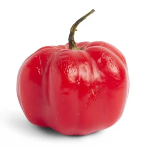 Rocoto 1/4 Kilo