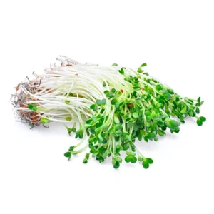Brotes de Alfalfa